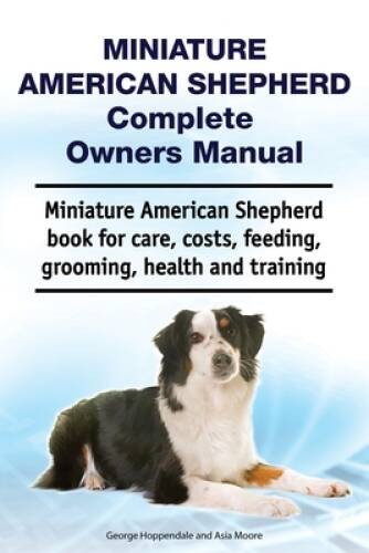 Miniature american shepherd - american,