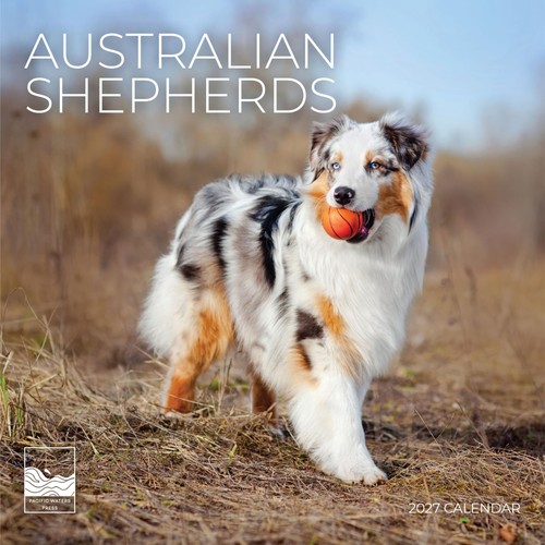 Australian shepherds 2027 wall - australian,